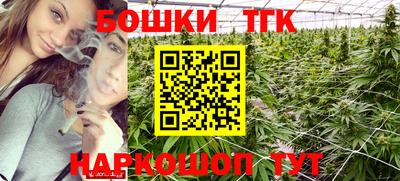 кокс Гатчина