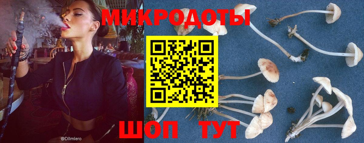 Псилоцибиновые грибы Psilocybine cubensis  Вход с VPN  Чехов  купить  сайты  Псилоцибиновые грибы Psilocybe 