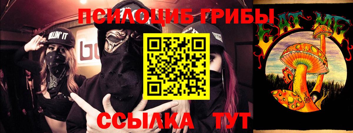Псилоцибиновые грибы Cubensis Чехов